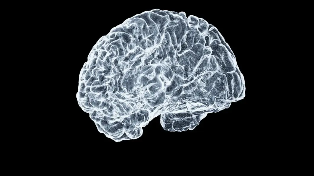 What Happens to the Brain During Addiction